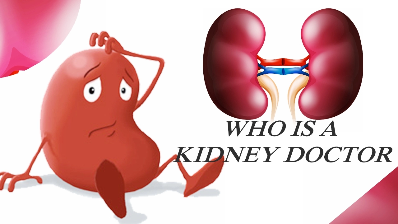 Who Is A Kidney Doctor