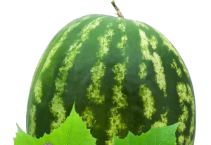 Benefits Of Eating Watermelon Skin