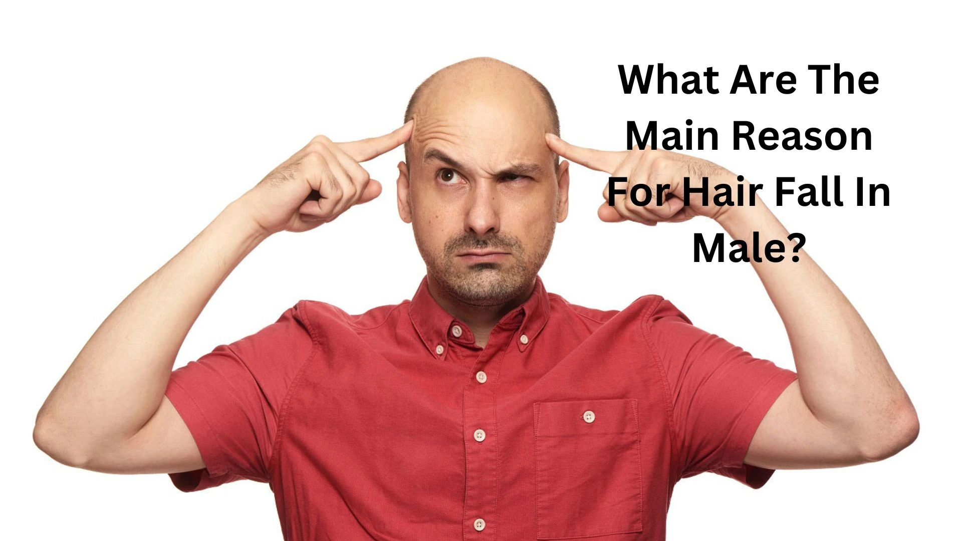 What Are The Main Reason For Hair Fall