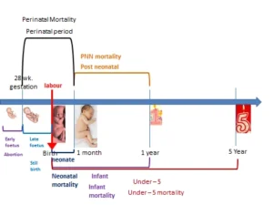 Prenatal and Perinatal